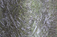 Wolvey Heath fibreglass roof work